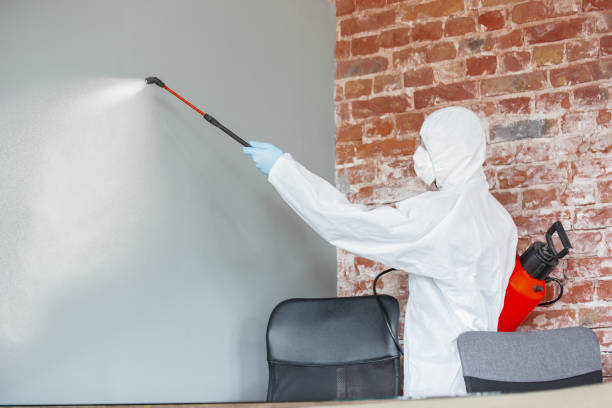 Best Mold Remediation for Vacation Homes  in Portland, IN