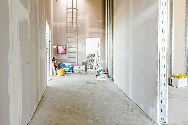 Best Dehumidification Services  in Portland, IN